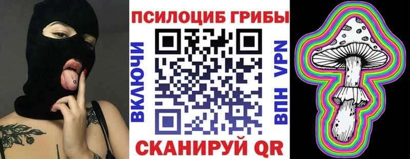 Псилоцибиновые грибы мицелий  блэк спрут рабочий сайт  Дагестанские Огни 